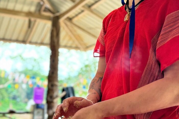 Chiang Mai: Observe the Mahouts and Tea Making Experience